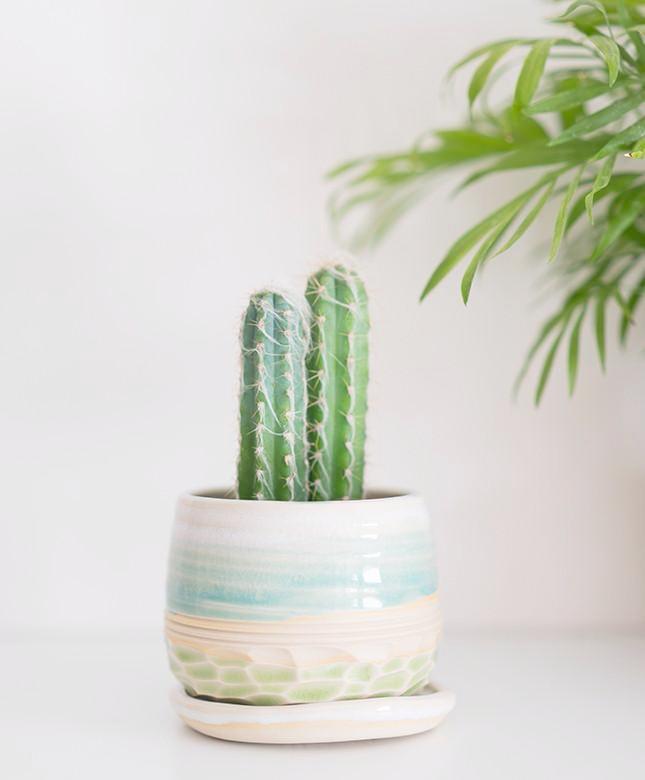 Carved Planter
