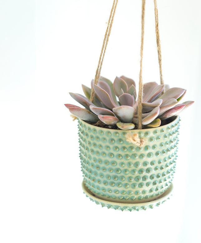 Bumpy Hanging Planter