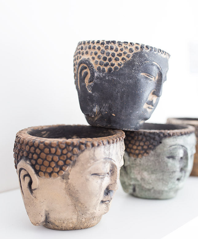 Medium Buddha Planter - Dalla Vita - 3