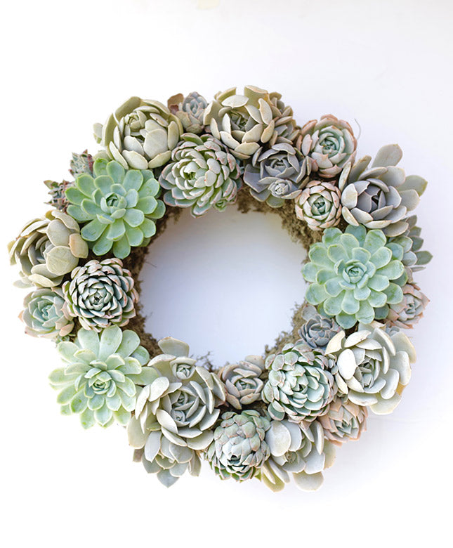 Circle Wreath