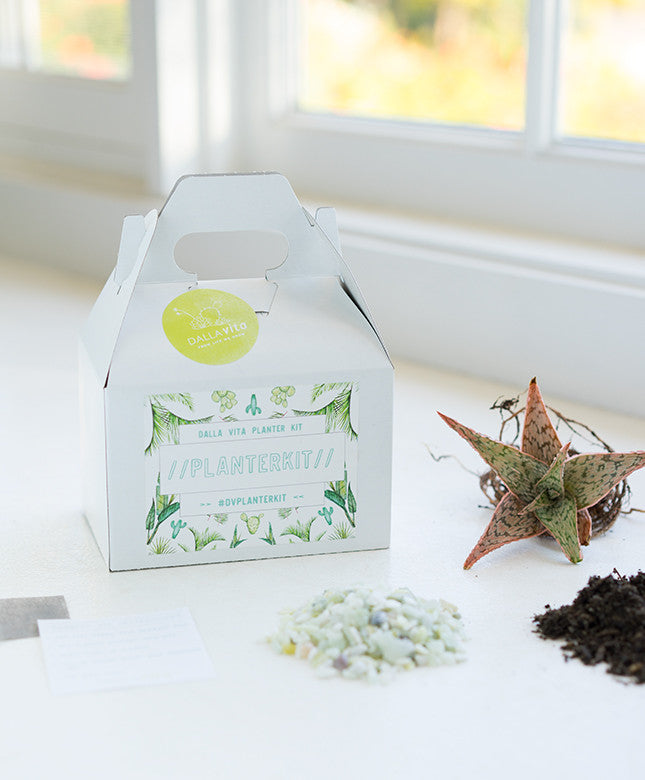 Planter Kit - Dalla Vita - 1