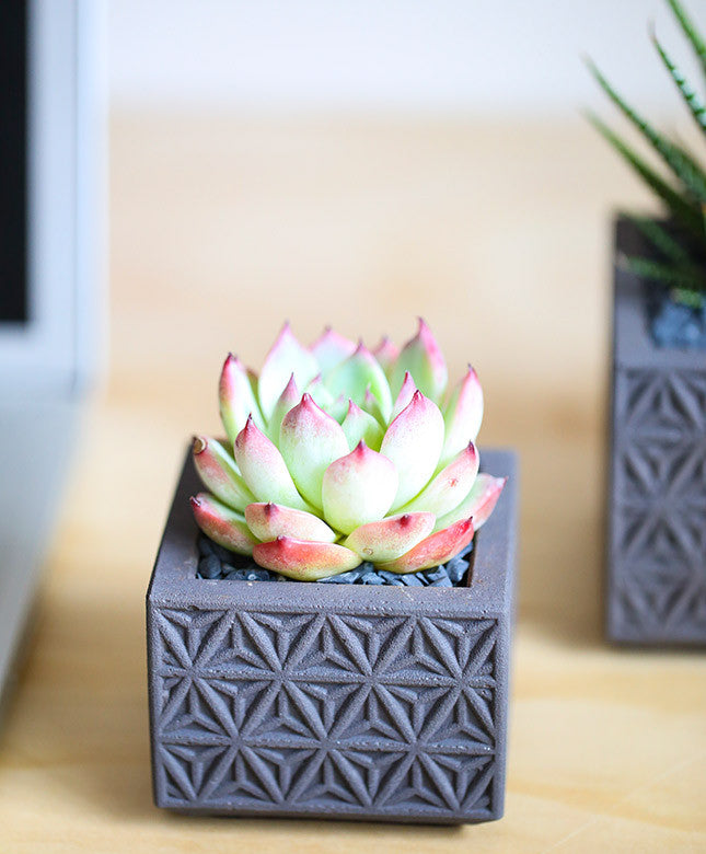 Gray Triangle Pattern Planter - Dalla Vita - 4