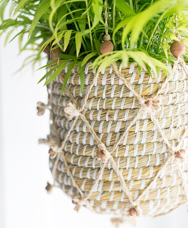 Pom Pom Macrame Hanger