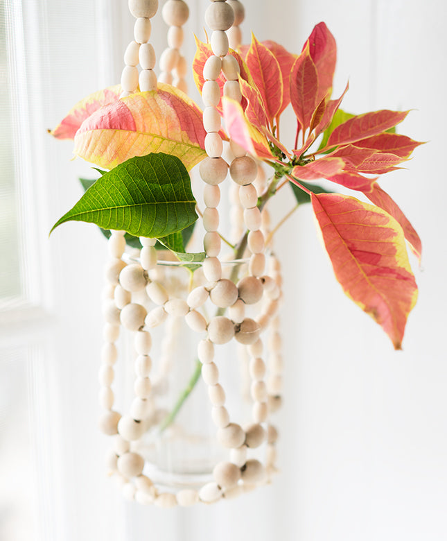 Beaded Hanging Planter