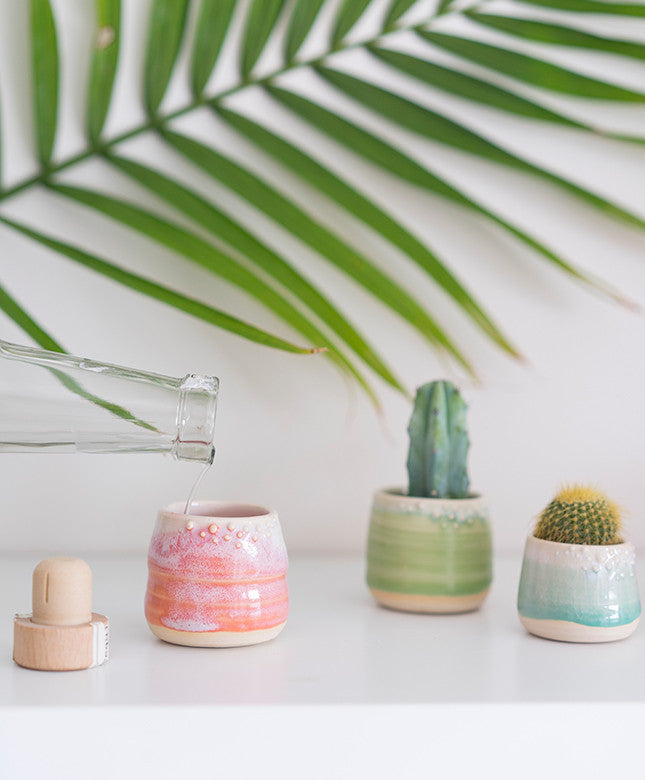 Mini Pastel Planters