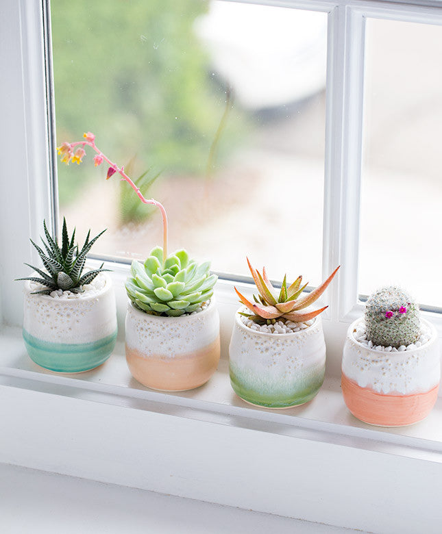 Pastel Planter - Dalla Vita - 2