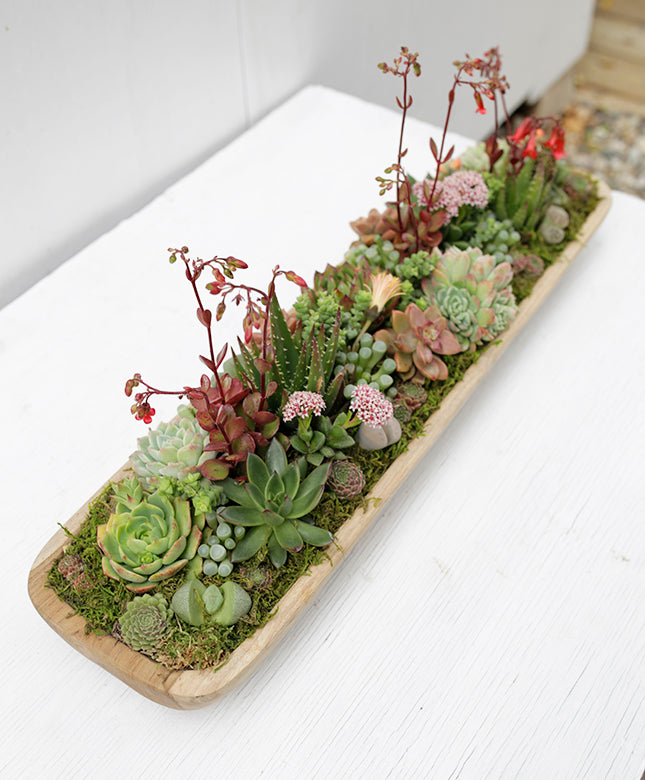Long Teak Tray Planter