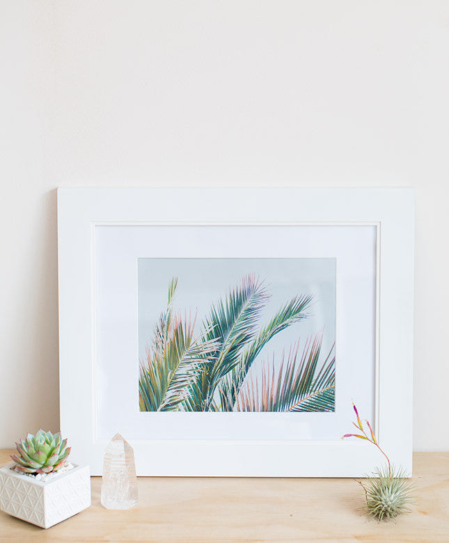Wilder California Palm Print - Dalla Vita - 1