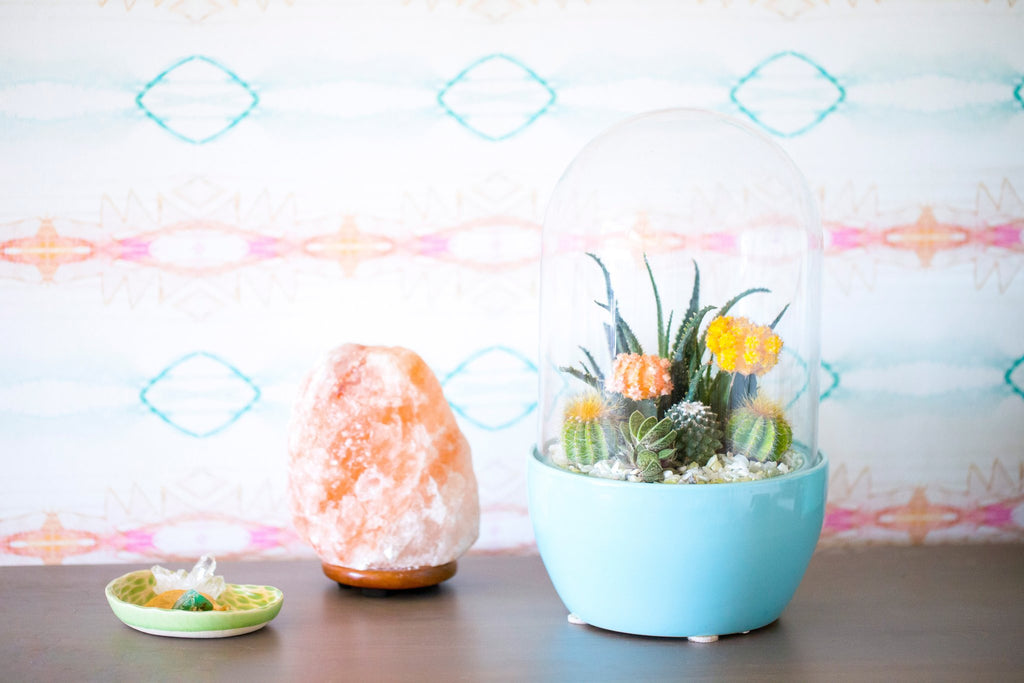 Terrarium Styles