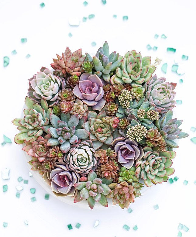 Dalla Vita Vertical Circle Tutorial