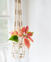 Beaded Hanging Planter