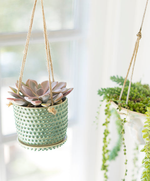 Bumpy Hanging Planter