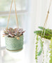 Bumpy Hanging Planter