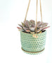 Bumpy Hanging Planter
