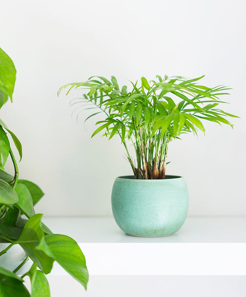 Blue Orb Planter
