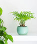 Blue Orb Planter