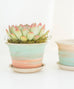 Sunrise/ Sunset Clay Pot