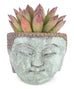 Medium Buddha Planter - Dalla Vita - 2