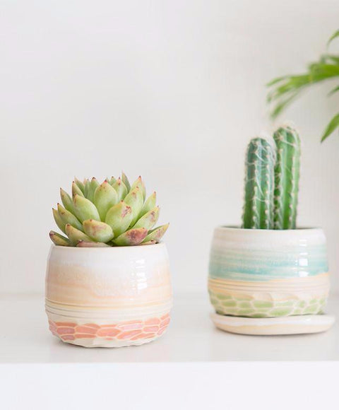 Carved Planter