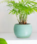 Blue Orb Planter
