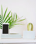 Ceramic Phone Charging Dock/Succulent Planter - Dalla Vita - 6