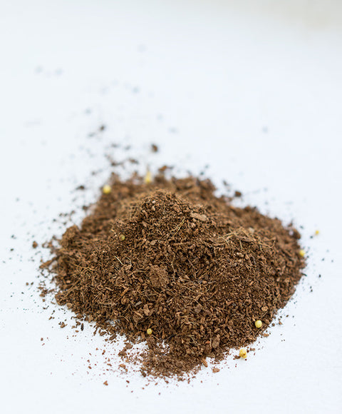 Coconut Soil - Dalla Vita