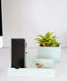 Ceramic Phone Charging Dock/Succulent Planter - Dalla Vita - 8