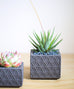Gray Triangle Pattern Planter - Dalla Vita - 5
