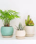 Blue Orb Planter