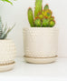 Triangle/ Diamond Planter