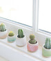 Mini Pastel Planters