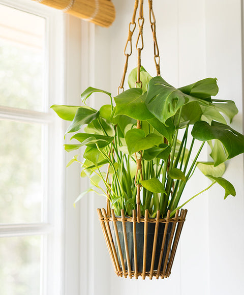 Hanging Bamboo Basket