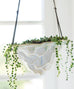 Hanging Iceberg Planter - Dalla Vita - 2