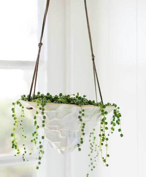 Hanging Iceberg Planter - Dalla Vita - 1