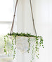 Hanging Iceberg Planter - Dalla Vita - 1