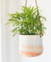 Hanging Carved Planter