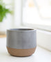 Large Rigid Concrete Planter