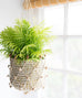 Pom Pom Macrame Hanger