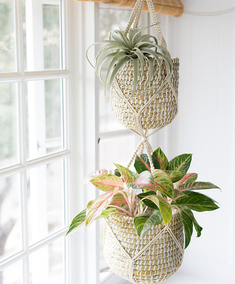 Two Tier Macrame Plant Hanger