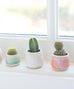 Mini Pastel Planters
