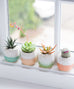 Pastel Planter - Dalla Vita - 2