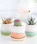 Pastel Planter - Dalla Vita - 7
