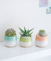 Pastel Top Planter - Dalla Vita - 3