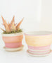 Sunrise/ Sunset Clay Pot