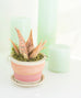 Sunrise/ Sunset Clay Pot