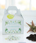 Planter Kit - Dalla Vita - 2