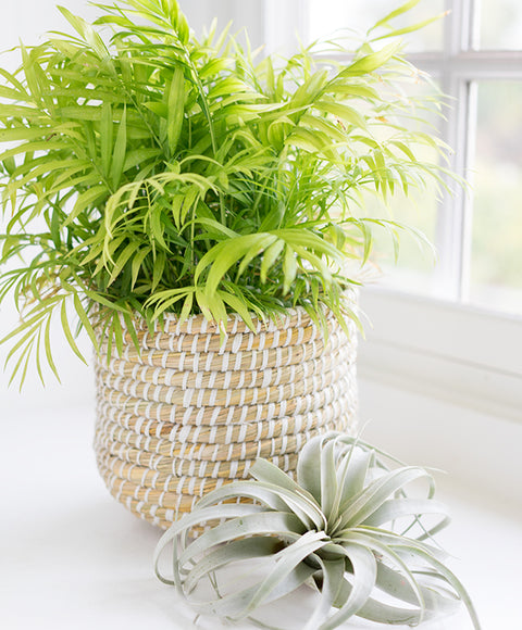 Seagrass Basket