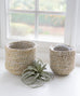 Seagrass Basket