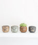 Small Buddha Planter - Dalla Vita - 5