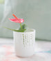 Little Cutie Candle Holders